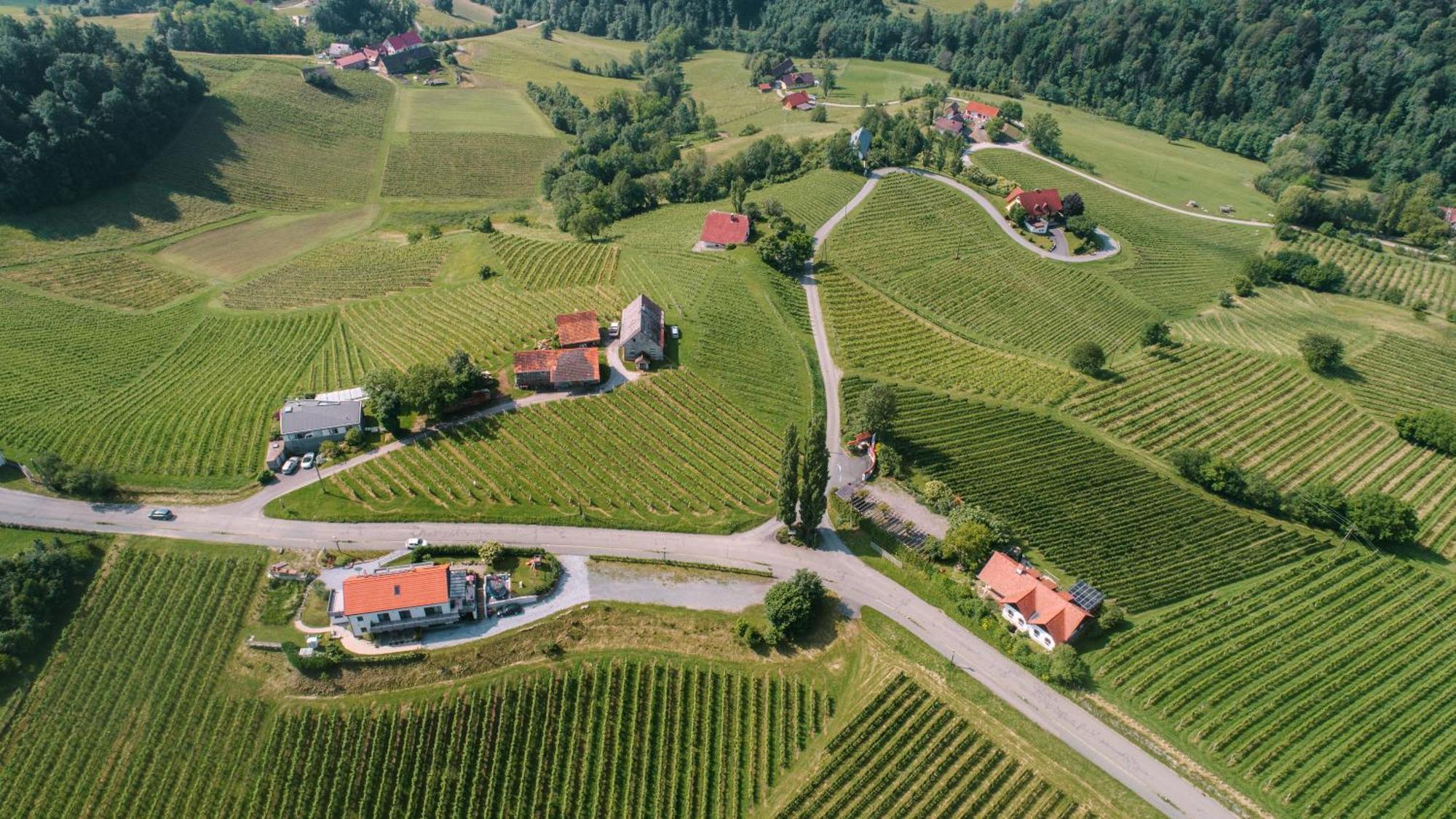 Weinstrassenapartment Fam. Dietrich Ratsch an der Weinstraße المظهر الخارجي الصورة